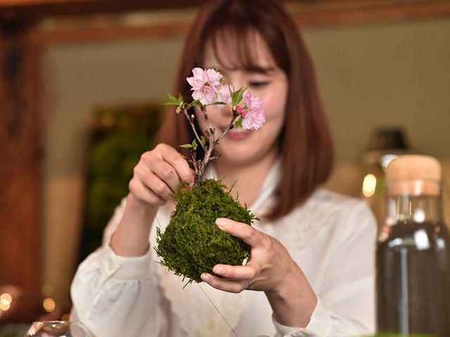 苔玉作り体験