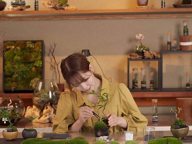 おかげ横丁　伊勢路栽苑【伊勢実生苔盆栽作り体験】