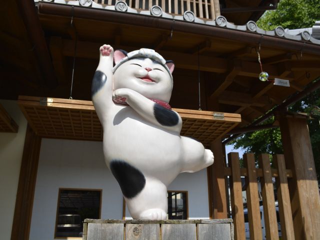 ラッキーキャットアート