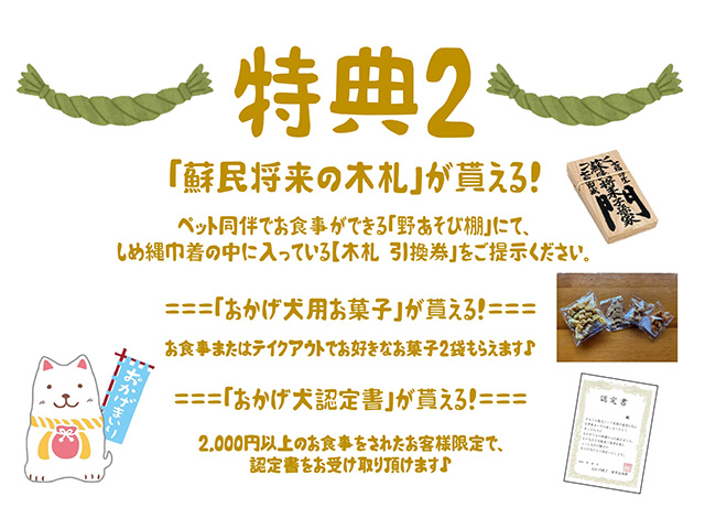 おかげ犬体験