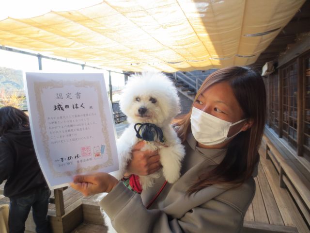 おかげ犬体験