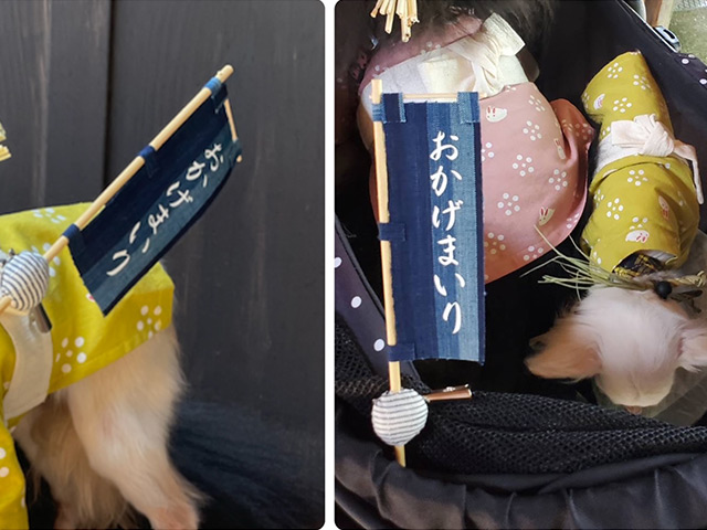 おかげ犬体験