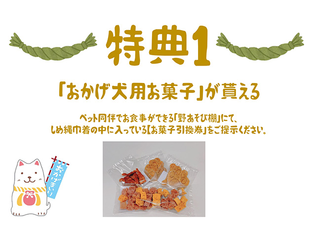 おかげ犬体験