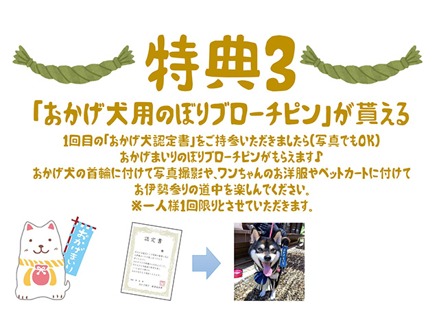 おかげ犬体験