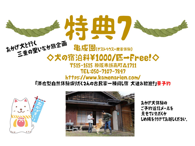 おかげ犬体験