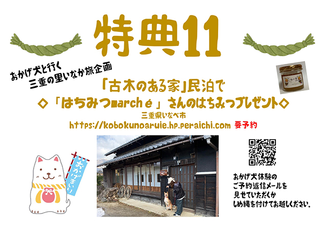 おかげ犬体験