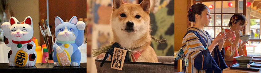 体験プラン一覧・ご予約